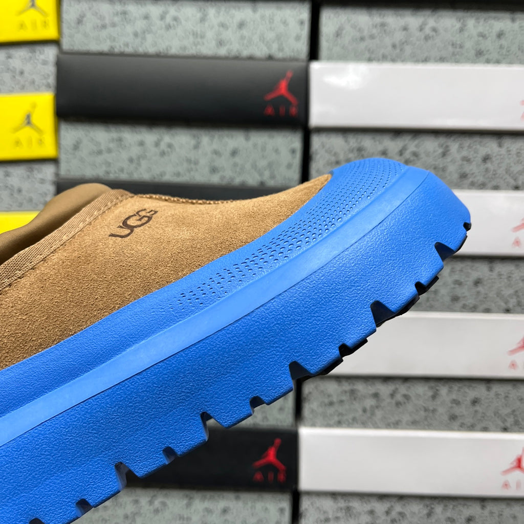 UGG Tasman Platform Mule – Camel & Blue