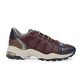 BURGUNDY/MULTICOLOR X-RAY SNEAKERS