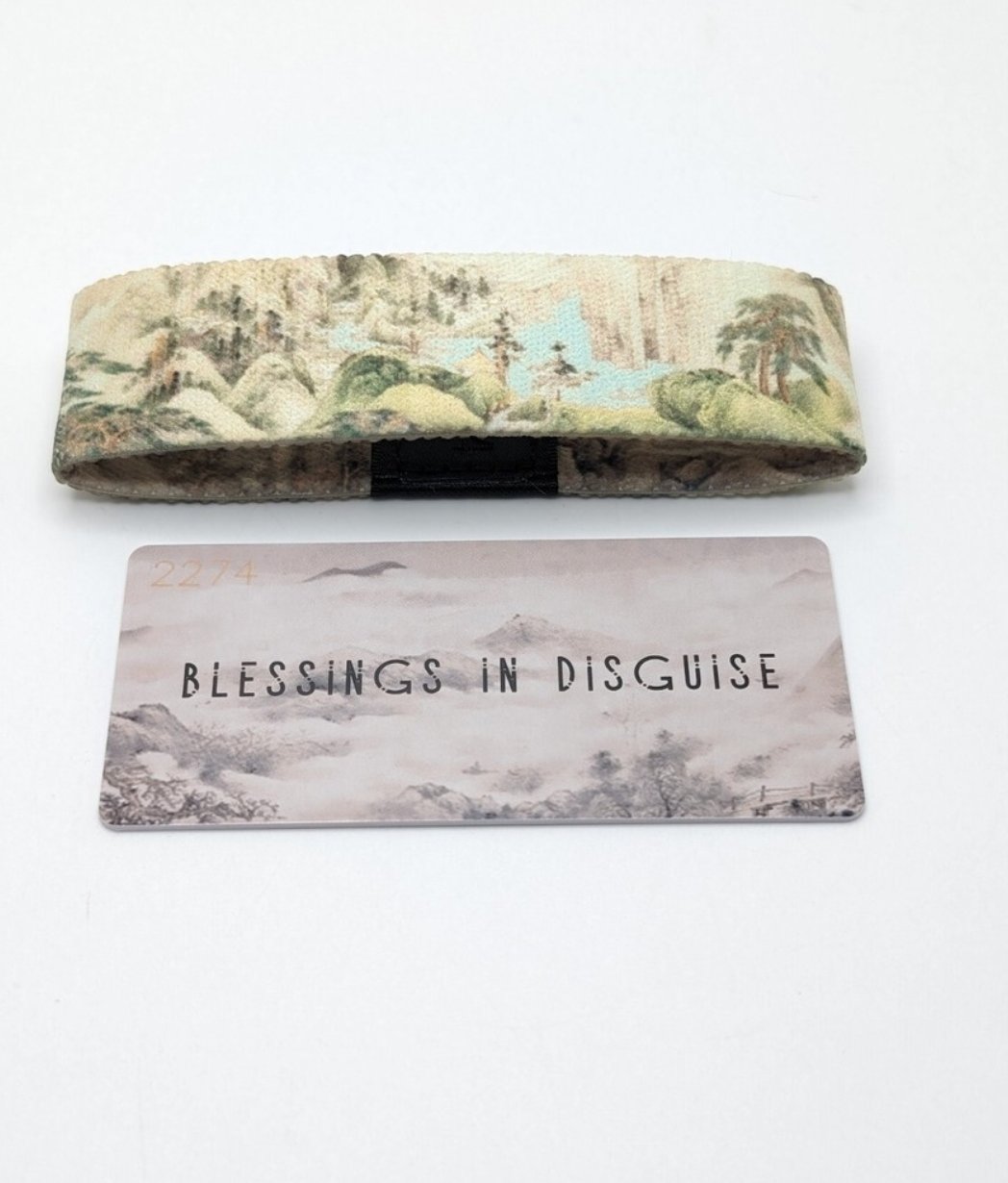 Blessings In Disguise
