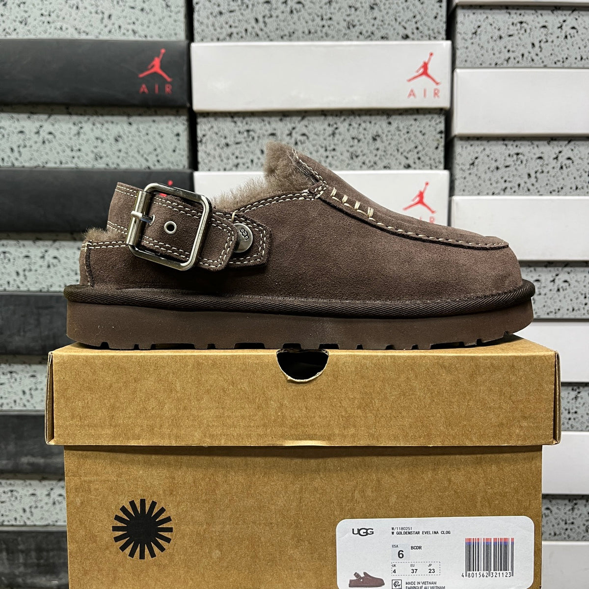 UGG Tasman Buckle Slipper – Espresso