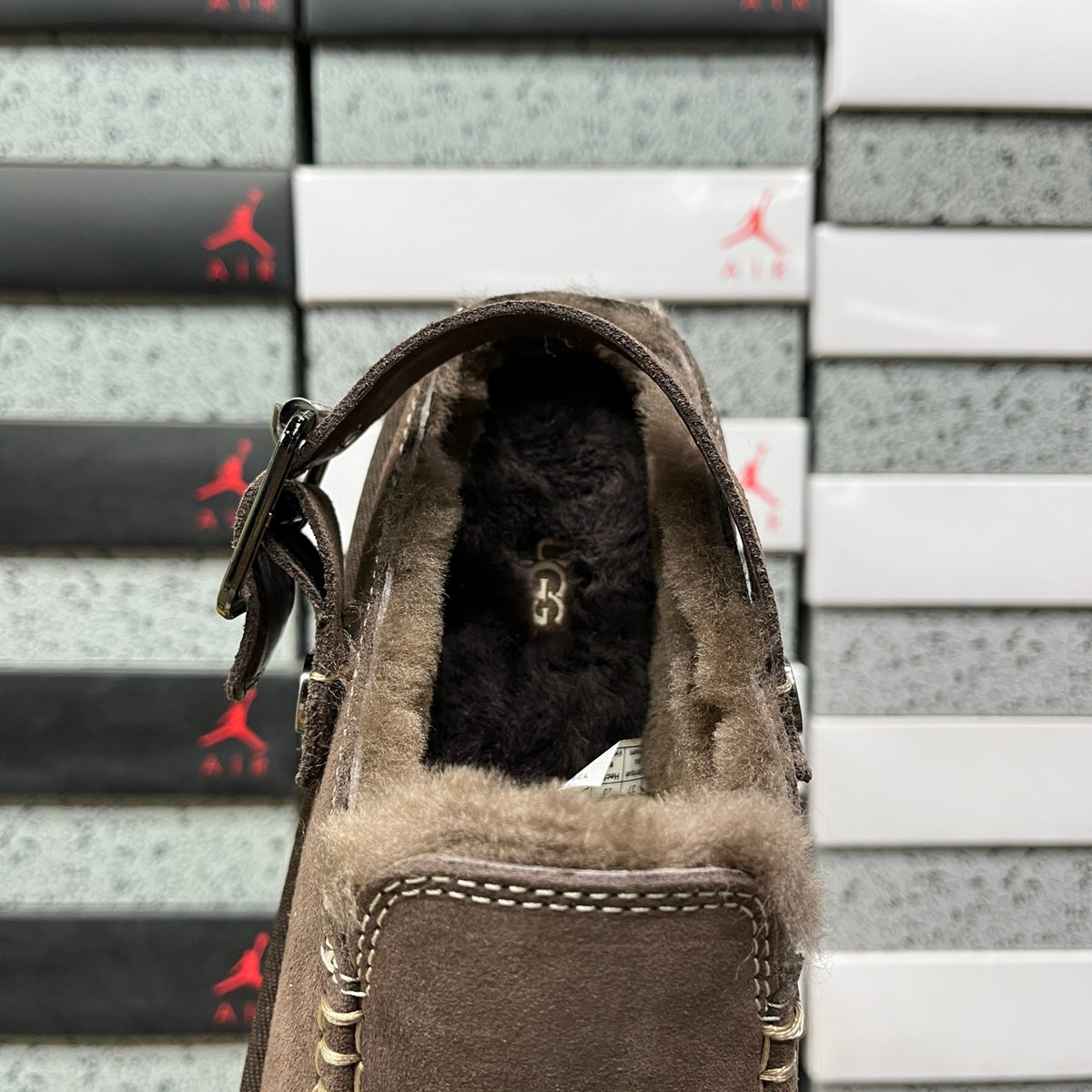 UGG Tasman Buckle Slipper – Espresso